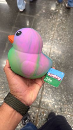 Squeeze new with tags 15 dollars