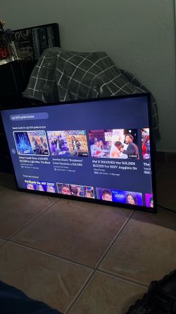 30 Inch Vizio
