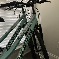 New 26’ Bike
