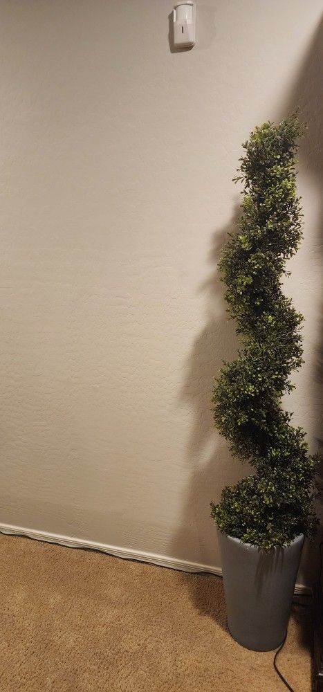 Topiary Spiral Tree