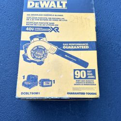Dewalt Handheld Blower Kit 