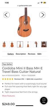 Mini Electric Acoustic bass