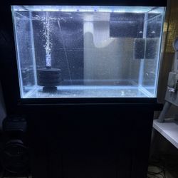 30 Gallon Fish Tank With Lids And Stand. Filter Air pump 