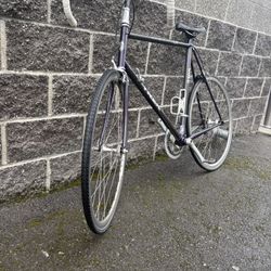 Trek 2100 Carbon Composite Bike