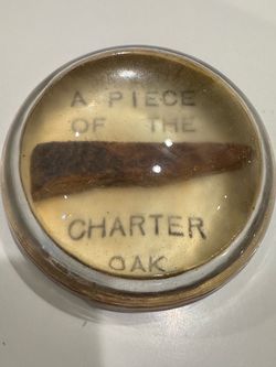 Charter Oak Wood Fragment Resin Paperweight