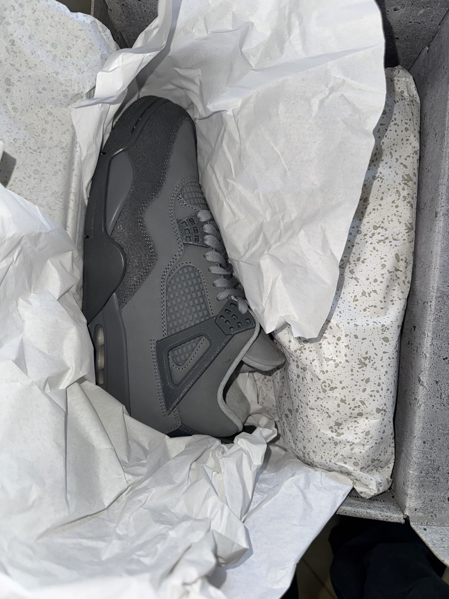 Jordan 4 Wet Cement SE