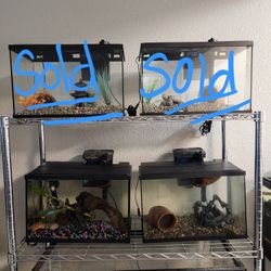 Fish Tank