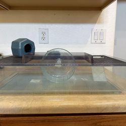 Hamster Cage 