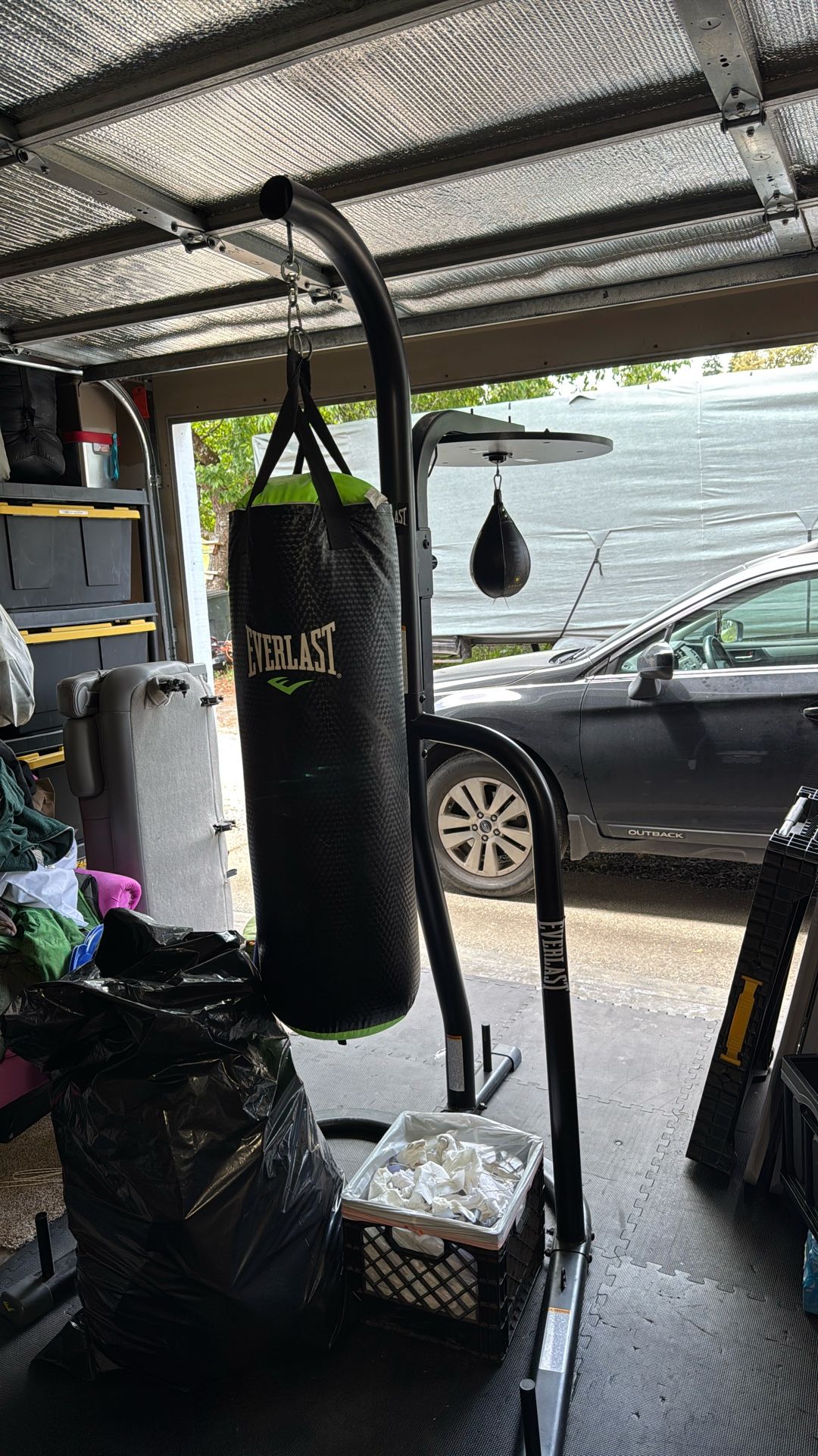 Everlast Punching Bag