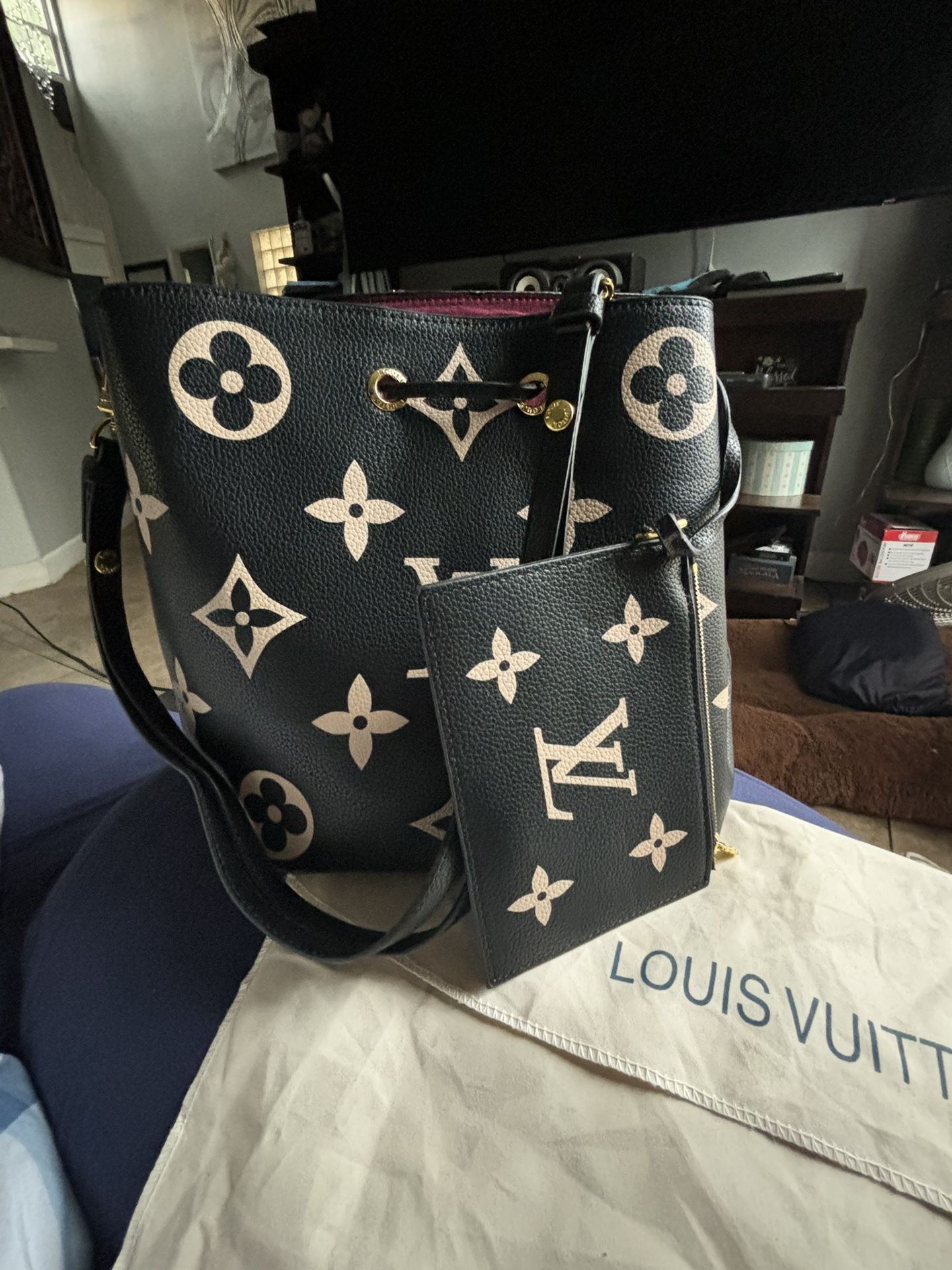 Louis Vuitton Bag