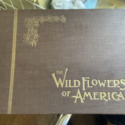 288 plates with descriptions in The Wildflowers of America 1894 Book G.H. Buek