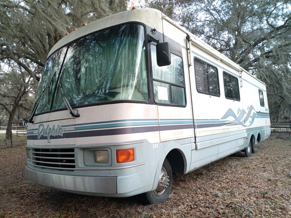 1996 National Dolphin