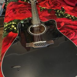 Takamine Guitar