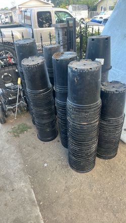 Pots plants