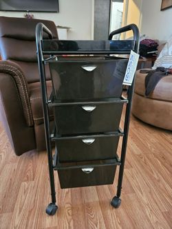 Storage organizer with wheels