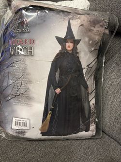 Wicked Witch Costume