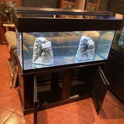 75 Fish Tank