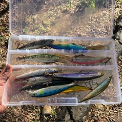 Trolling Tapas And Jerk Baits