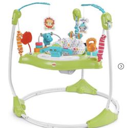 Fisher Price Gym Play Bouncer 