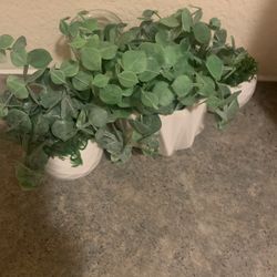 White Vases /Succulents 