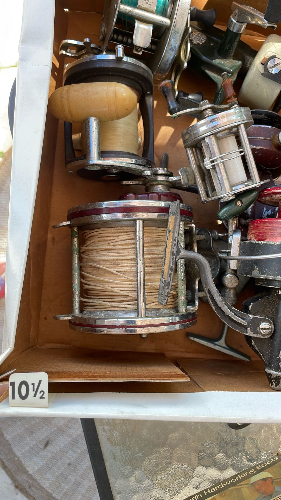 collection of vintage Penn fishing reels, specifically including models like the Penn Peer No. 209 and 309 Level Wind reels. These reels are known fo