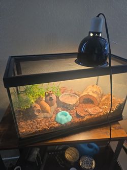 Reptile tank with accessories