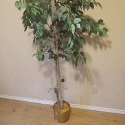 Fake Tree/plant Decor