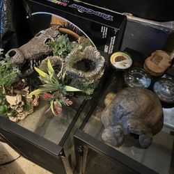 Tanks And Reptile Accessories 