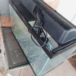 Pecera Completa De 10 Gal Barata $25 Dlls 