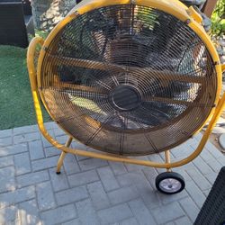 Fan