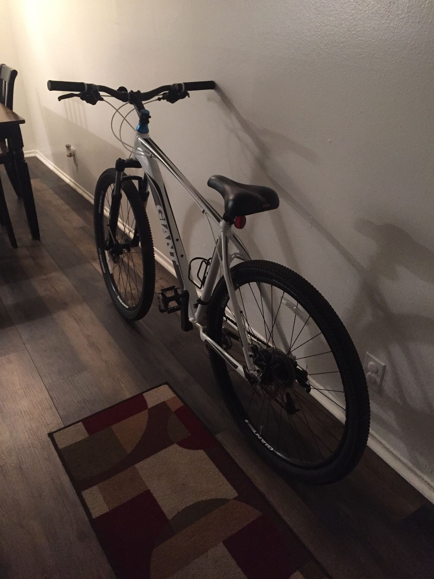 Talon Giant 2. Very good bike in and out