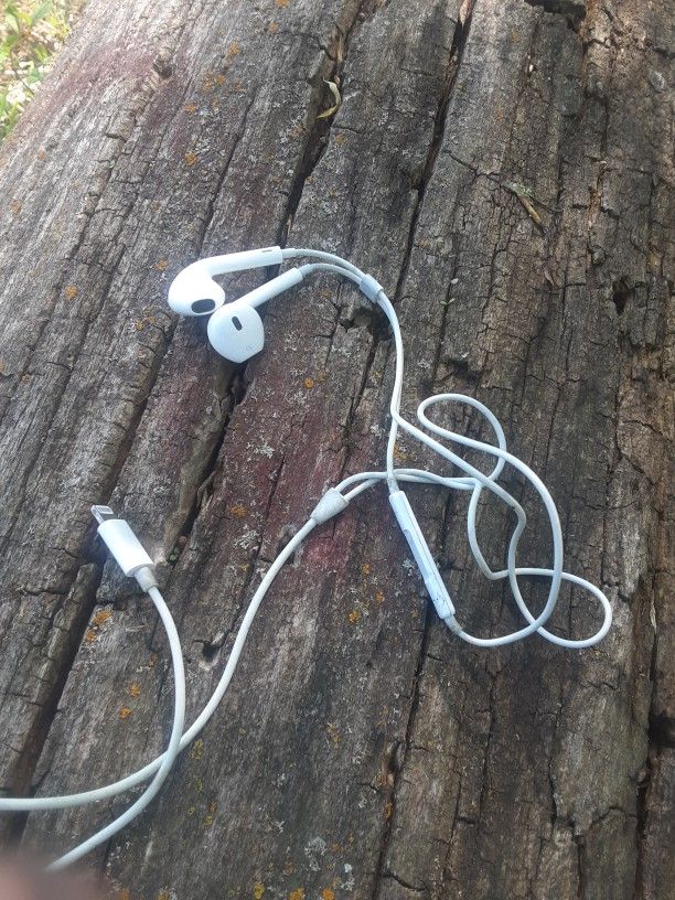iPhone Earbuds for Sale in Maplewood MN OfferUp
