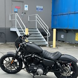 2020 Harley Davidson Sportster Iron 883 