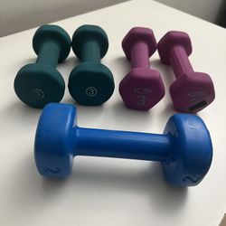 Dumbbell Hand / AB Roller Wheel /Foam Yoga Block