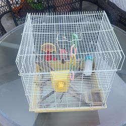 Bird Cage