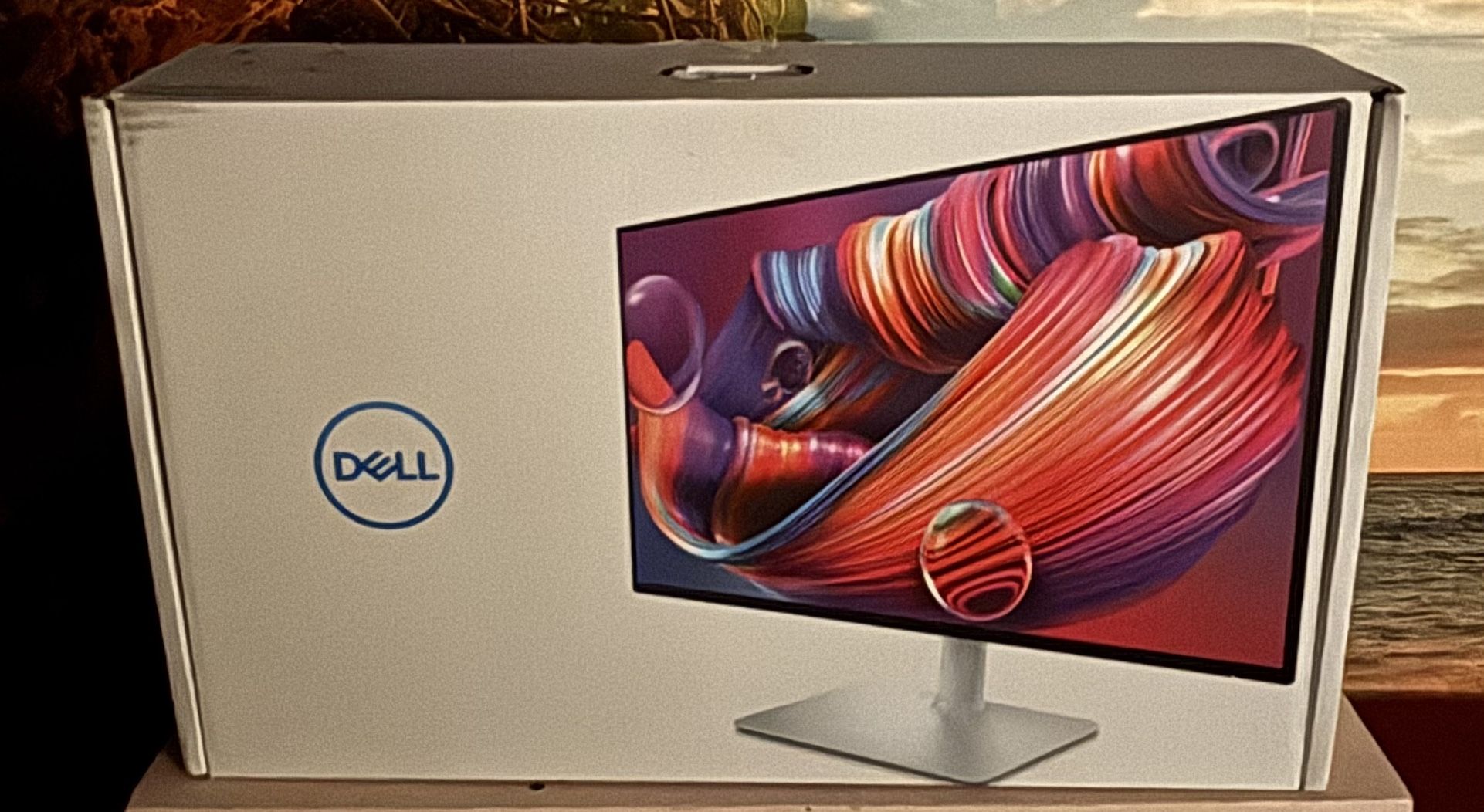 Dell Monitor 