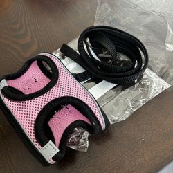 small dog leash and collar