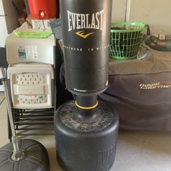 Everlast Power Core Punching Bag 