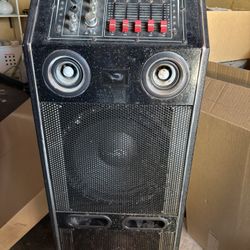 Dolphin Active Party Speaker with Bluetooth Graphic Equalizer and Sound Activated Lights - SP-14BT 