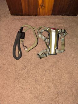 Kong Harness with leash