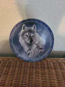 porcelain collectors plate
