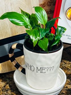 Peace Lily Plant in "Who Me???" Mug