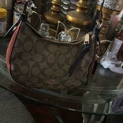 Small Coach Purse Super Cute