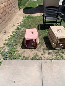 Dog and cat carrier