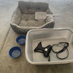 Cat Set