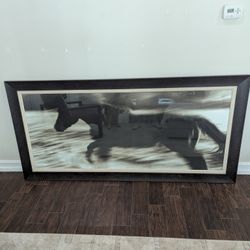 Horse Picture 