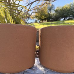 Set of 2 Cylinder Pot Planters