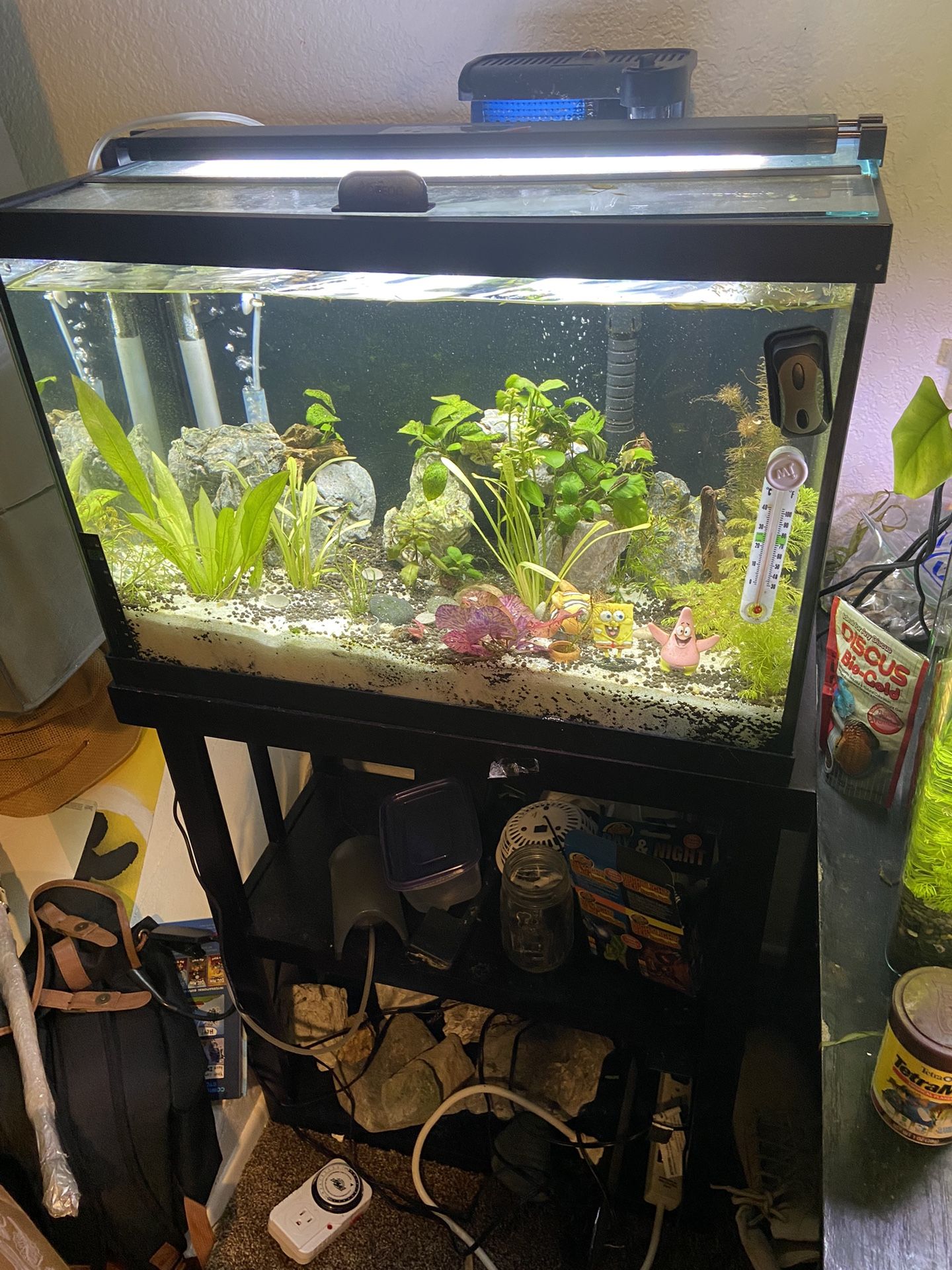 20 Gal Aquarium Fish Tank