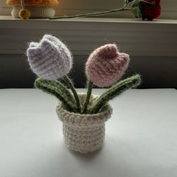 Handmade Crochet Tulip Pot – Cut Gift For Her