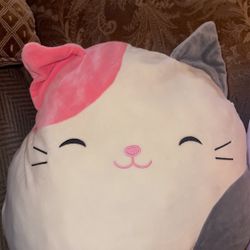 Cat Squishmallows 
